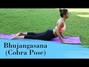 Cobra yoga poses
